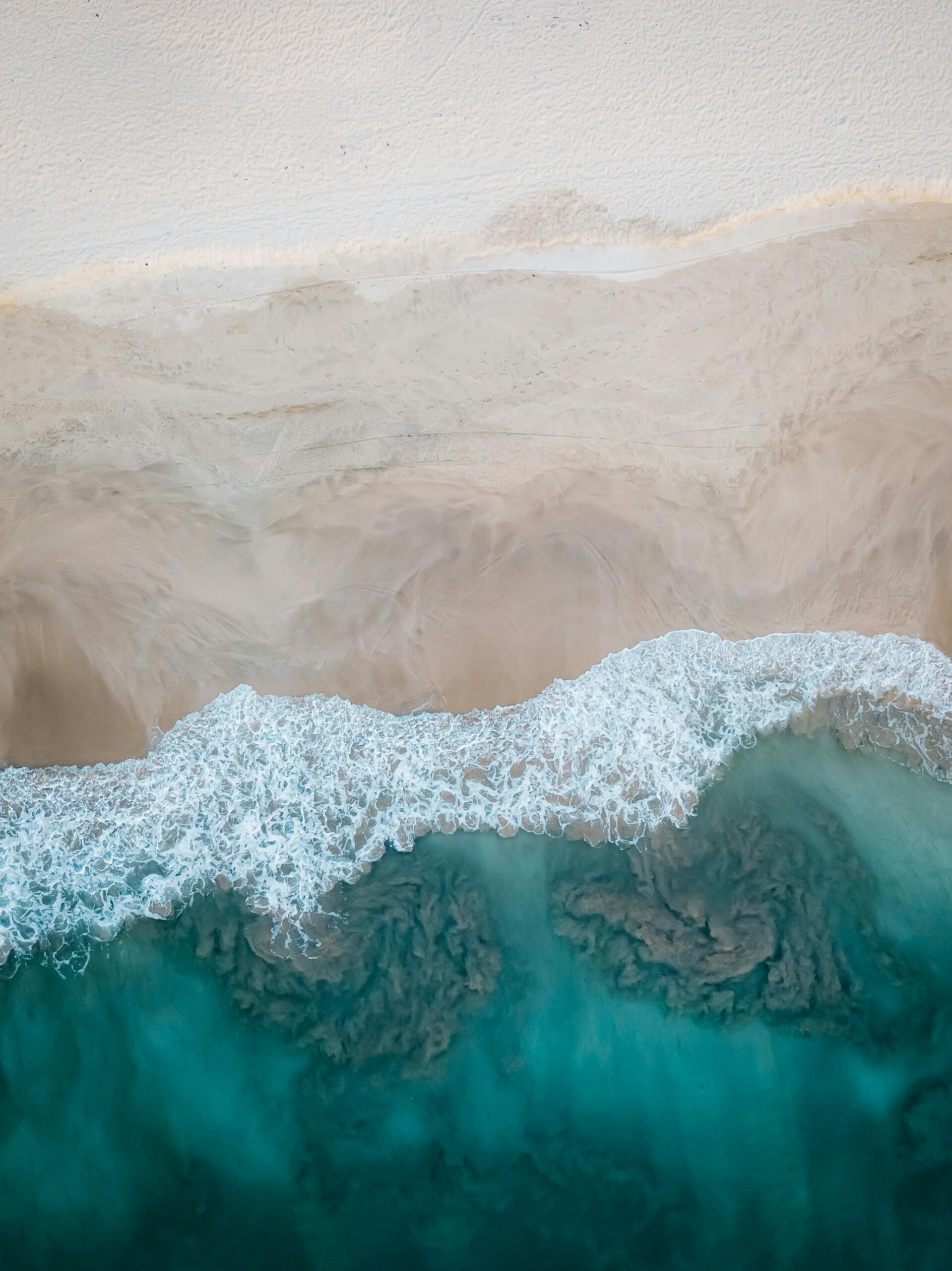 Exploring the Depths of Ancestral Medicine